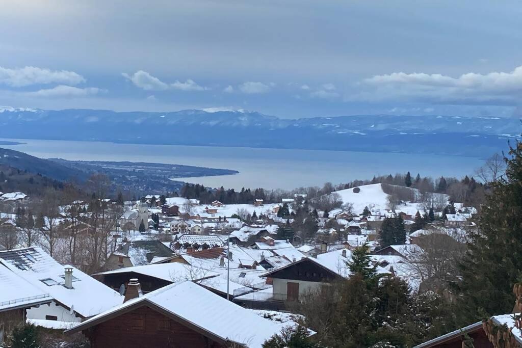 Duplex En Station Vue Sur Lac Leman Thollon-les-Memises Exteriér fotografie