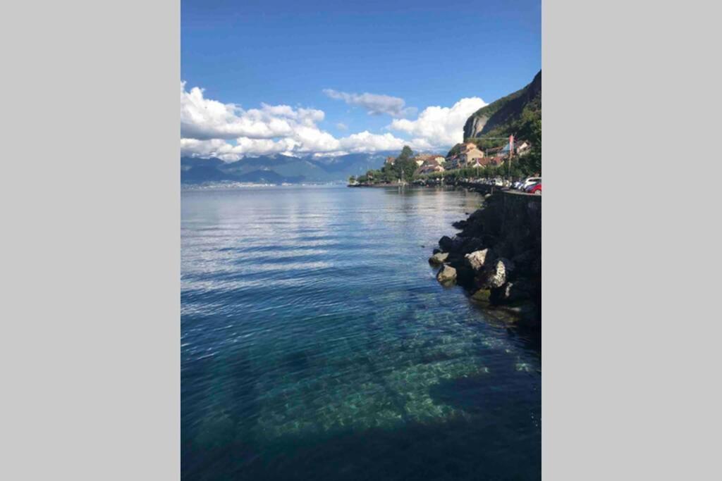 Duplex En Station Vue Sur Lac Leman Thollon-les-Memises Exteriér fotografie
