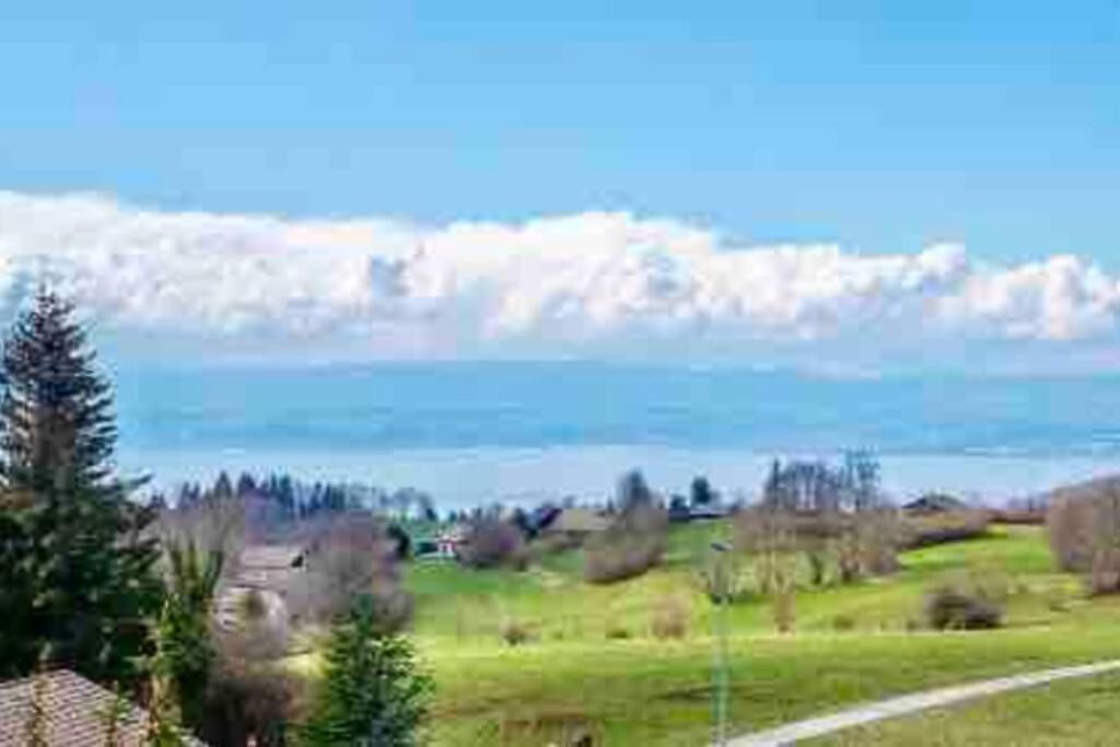 Duplex En Station Vue Sur Lac Leman Thollon-les-Memises Exteriér fotografie