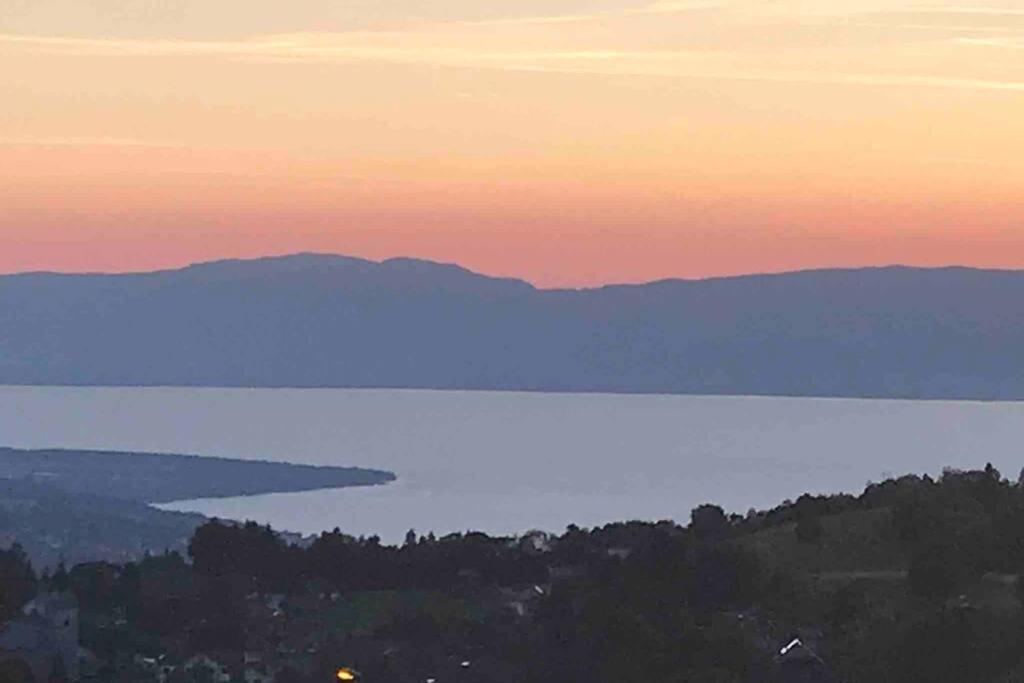 Duplex En Station Vue Sur Lac Leman Thollon-les-Memises Exteriér fotografie