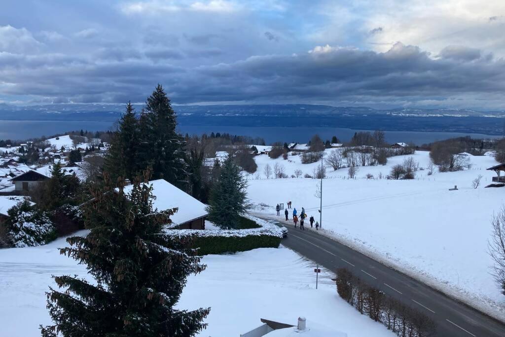Duplex En Station Vue Sur Lac Leman Thollon-les-Memises Exteriér fotografie