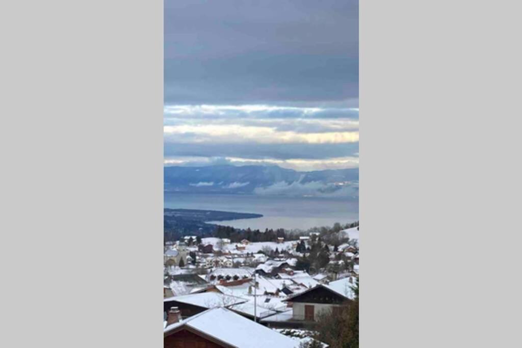 Duplex En Station Vue Sur Lac Leman Thollon-les-Memises Exteriér fotografie