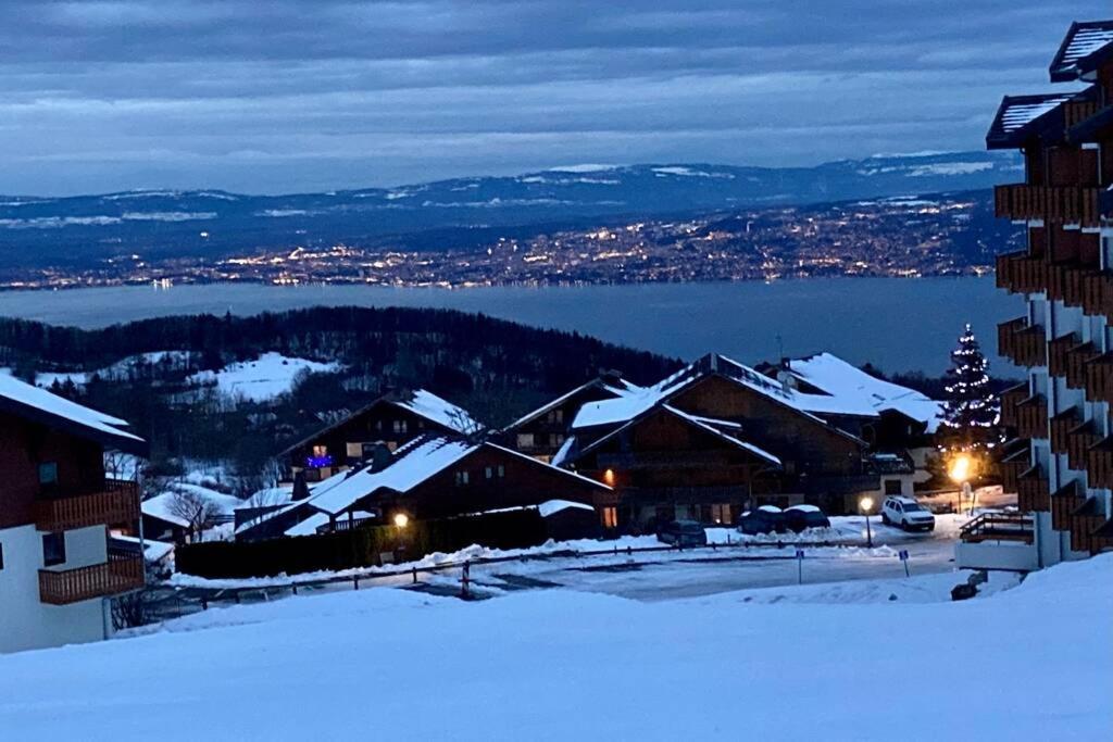 Duplex En Station Vue Sur Lac Leman Thollon-les-Memises Exteriér fotografie