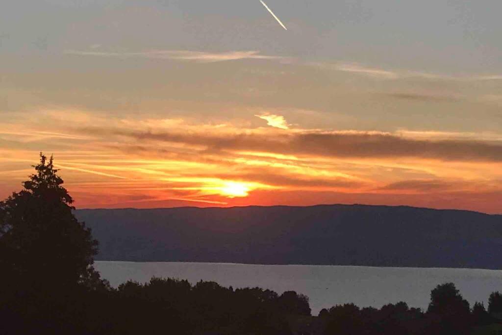 Duplex En Station Vue Sur Lac Leman Thollon-les-Memises Exteriér fotografie