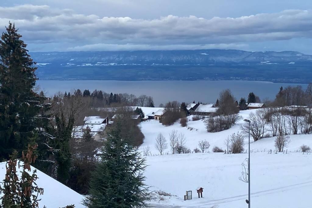 Duplex En Station Vue Sur Lac Leman Thollon-les-Memises Exteriér fotografie