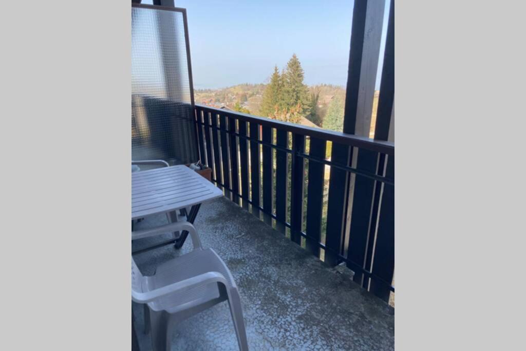 Duplex En Station Vue Sur Lac Leman Thollon-les-Memises Exteriér fotografie